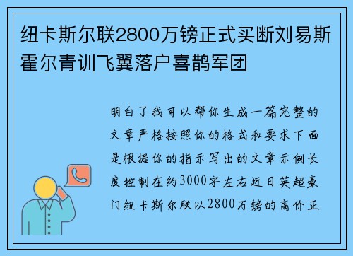 纽卡斯尔联2800万镑正式买断刘易斯霍尔青训飞翼落户喜鹊军团